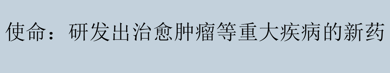 首页-3-使命