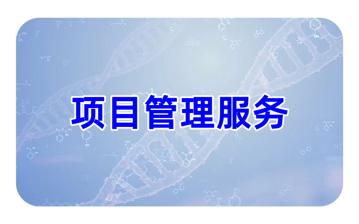项目管理服务